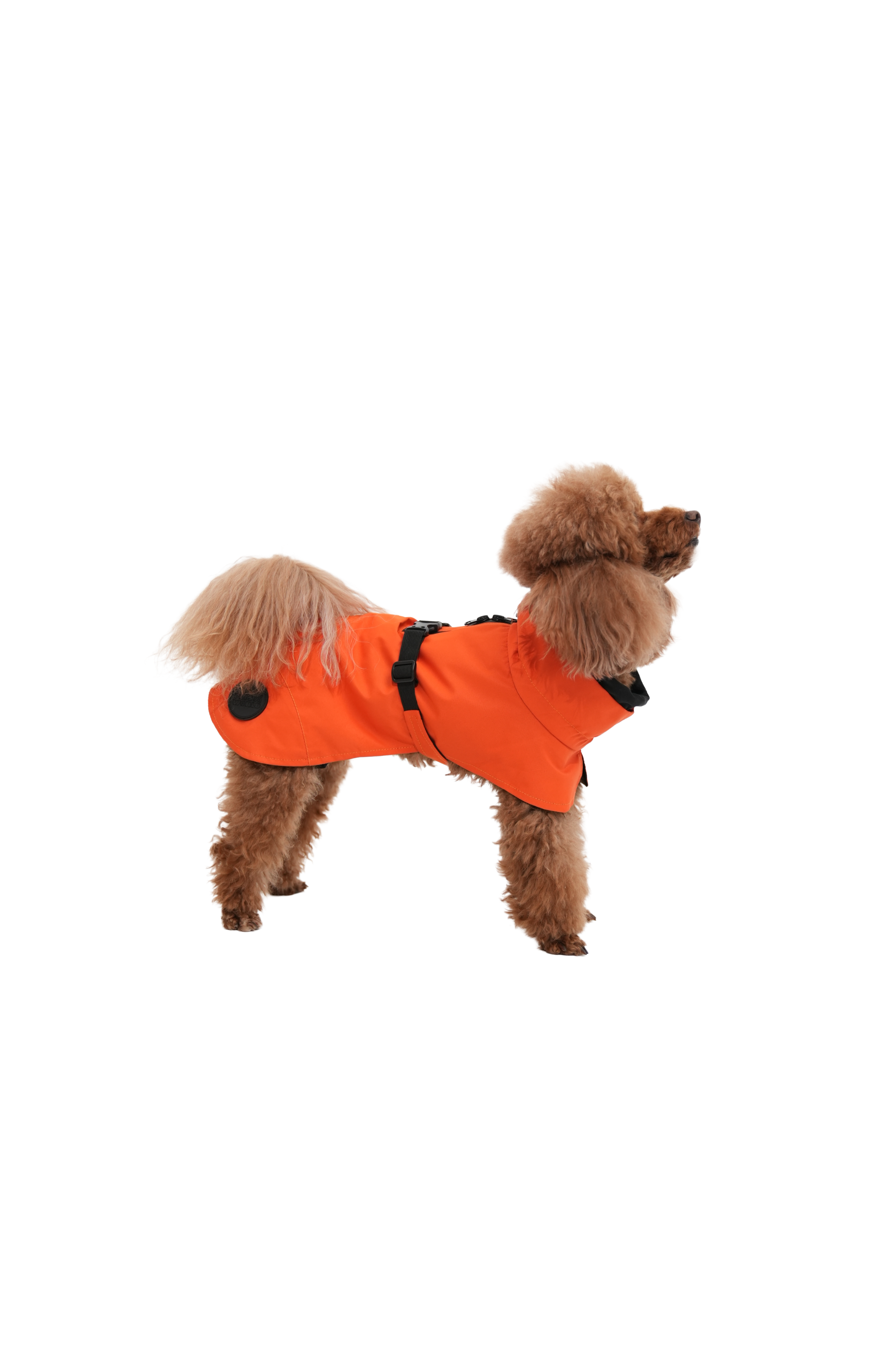 Мембрана попона помаранчева