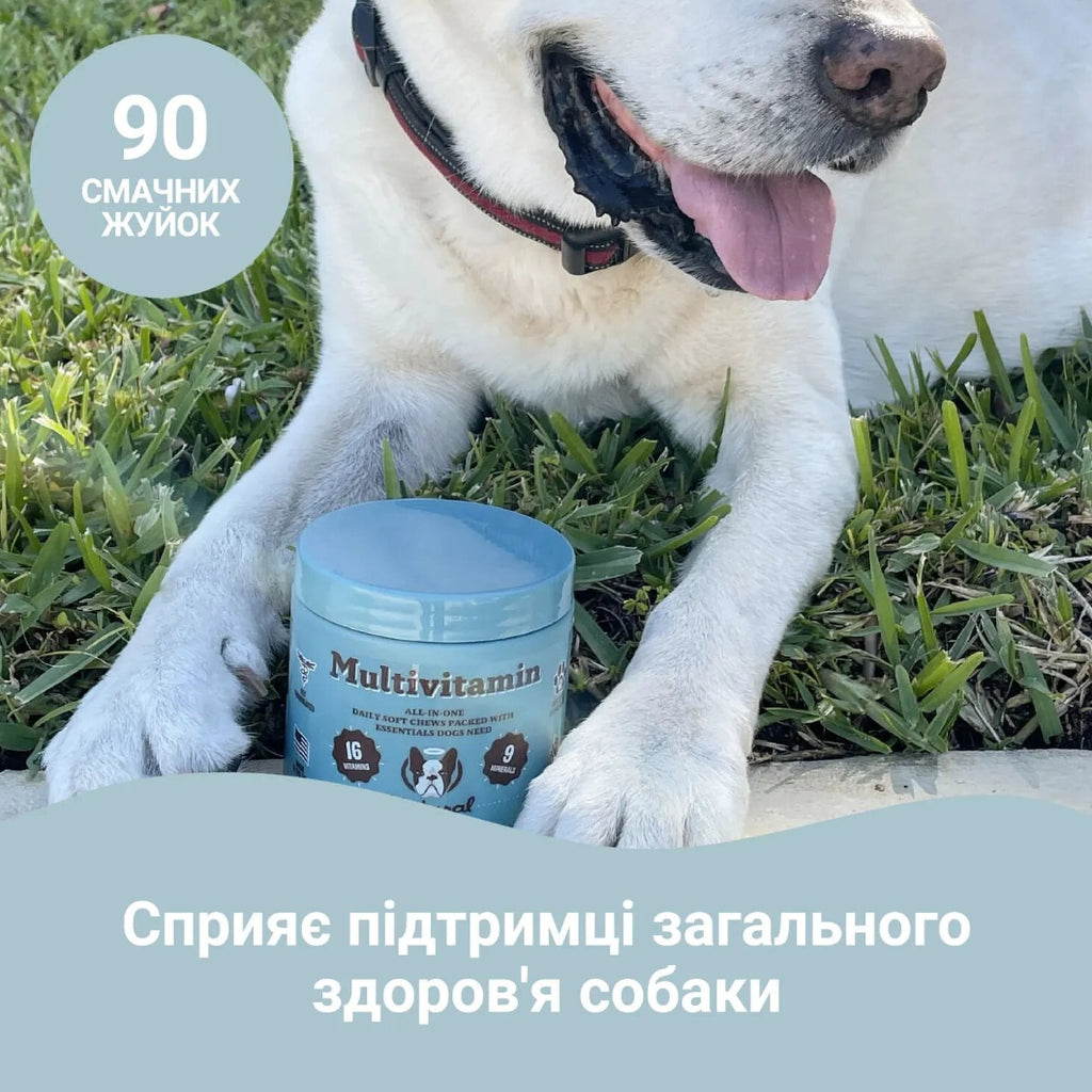 Мультивітамінний комплекс