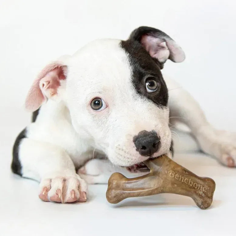 Набір жувальних іграшок зі смаком бекону