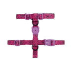 Шлея для собак Zee.Dog - Brain H-Harness