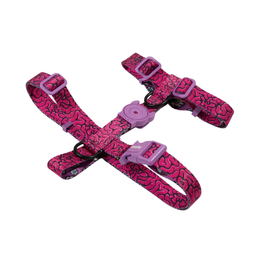 Шлея для собак Zee.Dog - Brain H-Harness