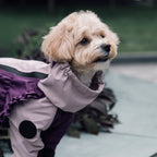 Зимовий кобінезон фіолетово-ліловий