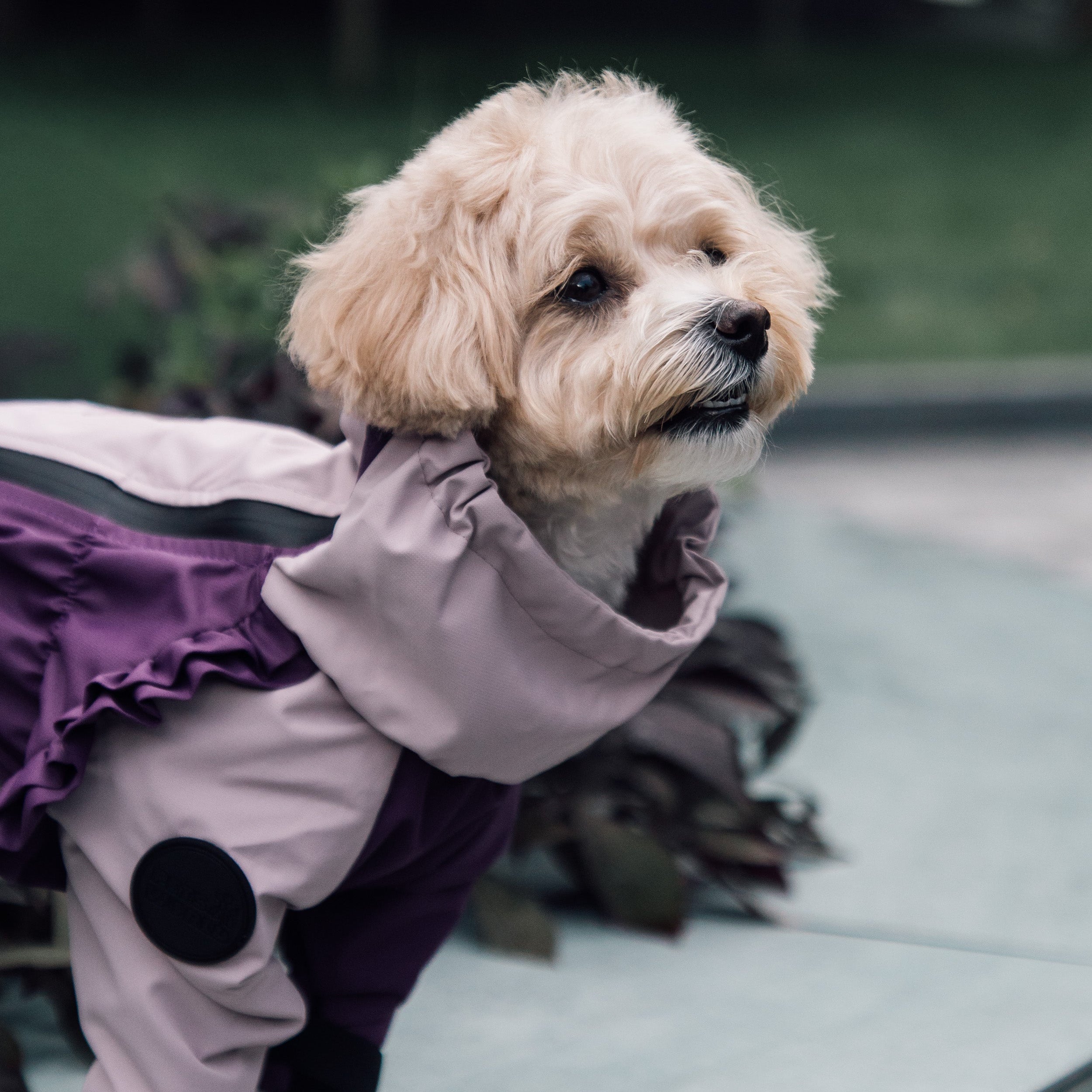 Зимовий кобінезон фіолетово-ліловий