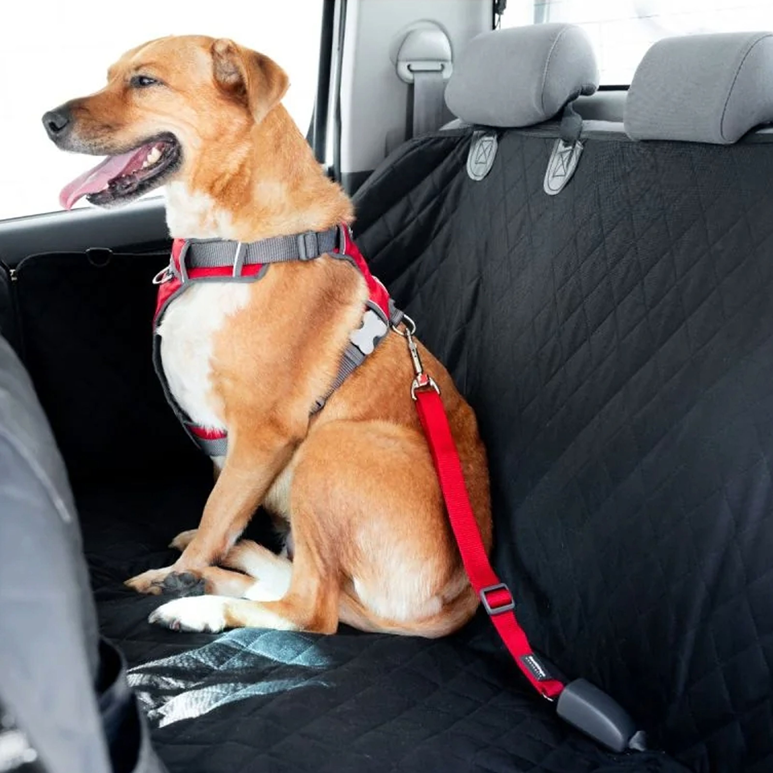 Автомобільний ремінь-фіксатор для собак чорний