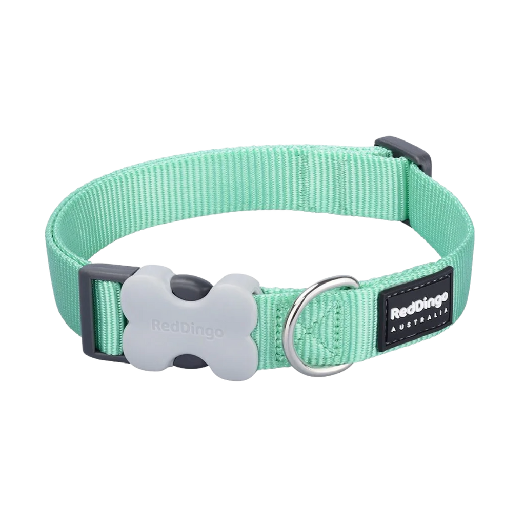 Нашийник для собак класичний пастельно-зелений