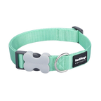 Нашийник для собак класичний пастельно-зелений