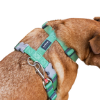 Шлея для собак Red Dingo класична - Pastel Green H-Harness