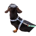 Шлея для собак Red Dingo класична - Pastel Blue H-Harness