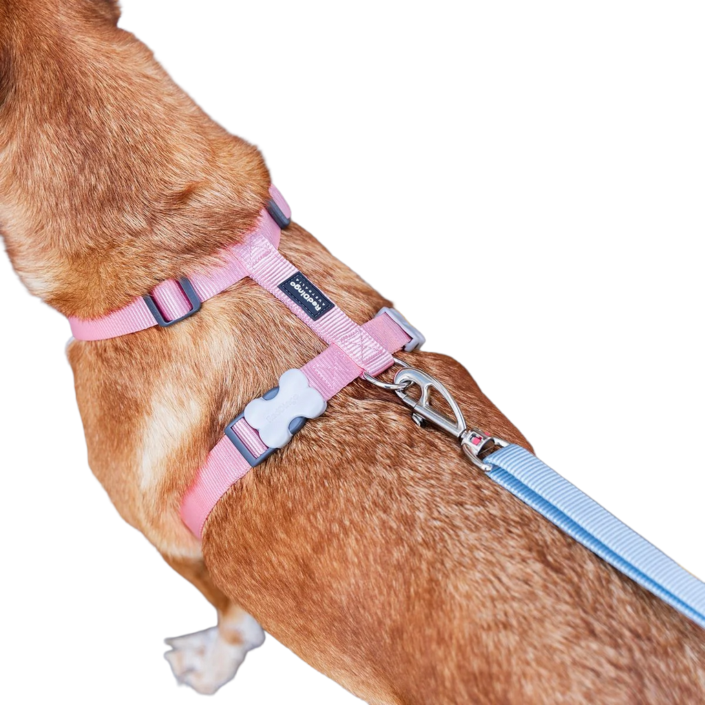 Шлея для собак Red Dingo класична - Pastel Pink H-Harness