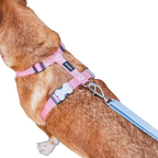 Шлея для собак Red Dingo класична - Pastel Pink H-Harness