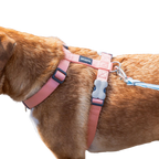 Шлея для собак Red Dingo класична - Pastel Orange H-Harness