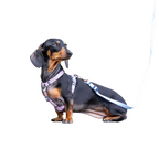 Шлея для собак Red Dingo класична - Pastel Purple H-Harness