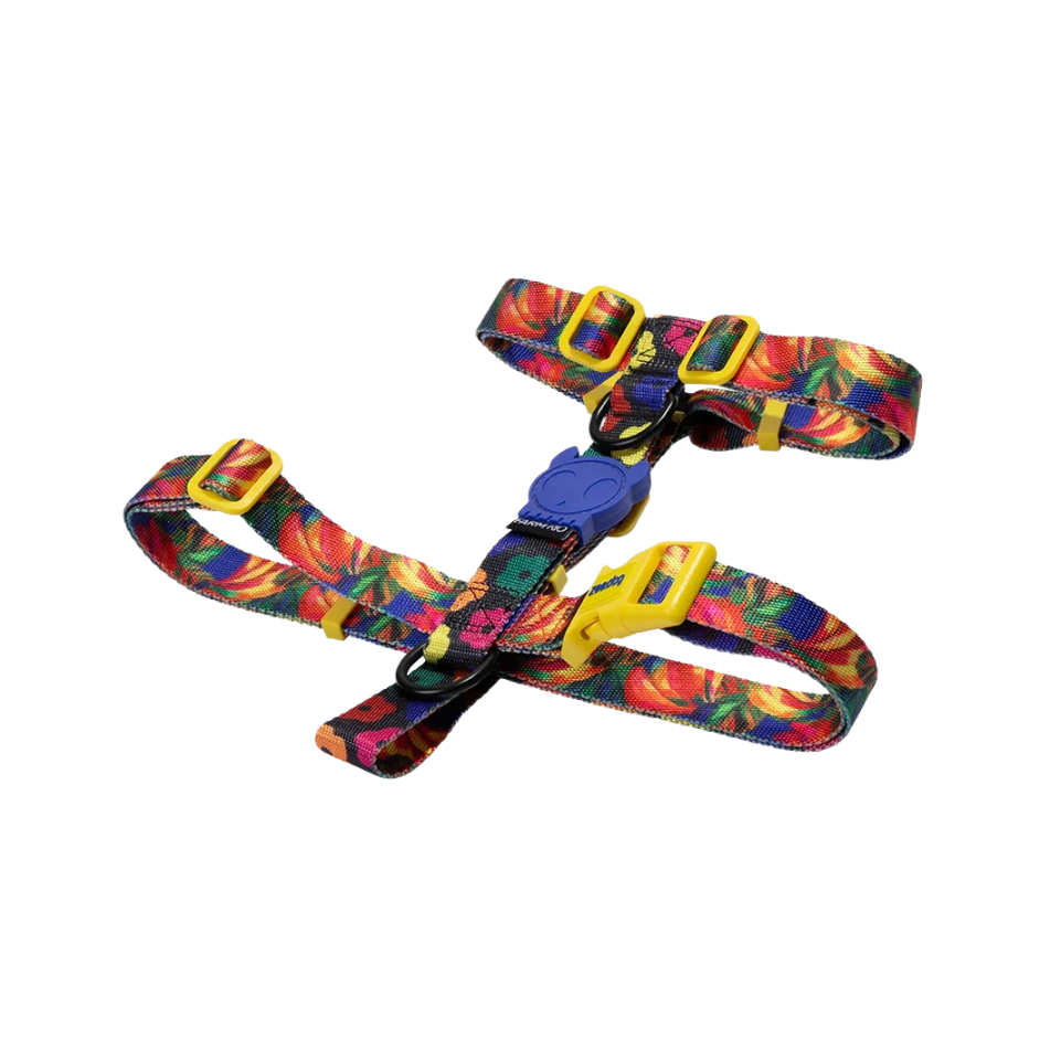 Шлея для собак Zee.Dog - Samba H-Harness