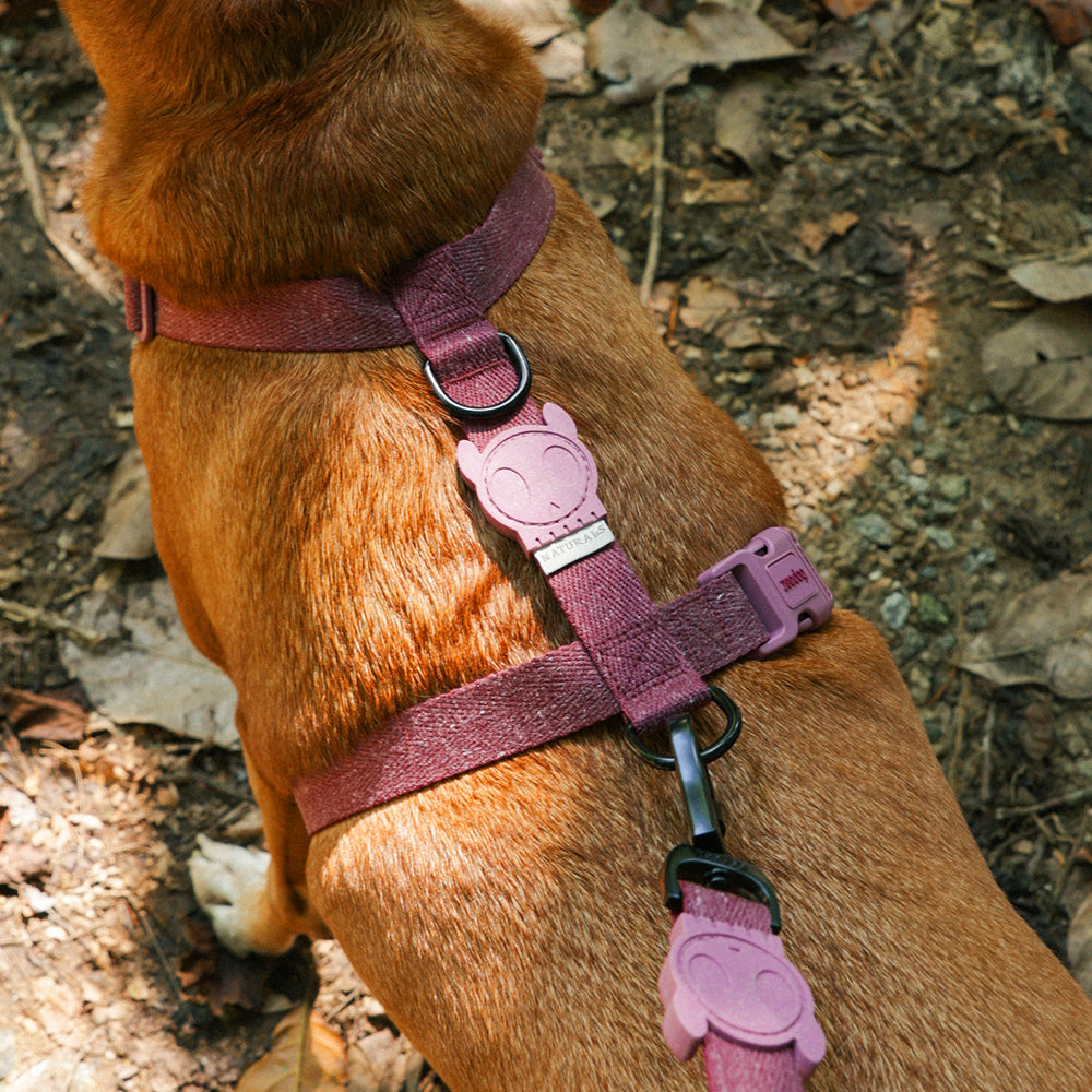 Шлея для собак Zee.Dog Naturals Hibiscus  H-Harness