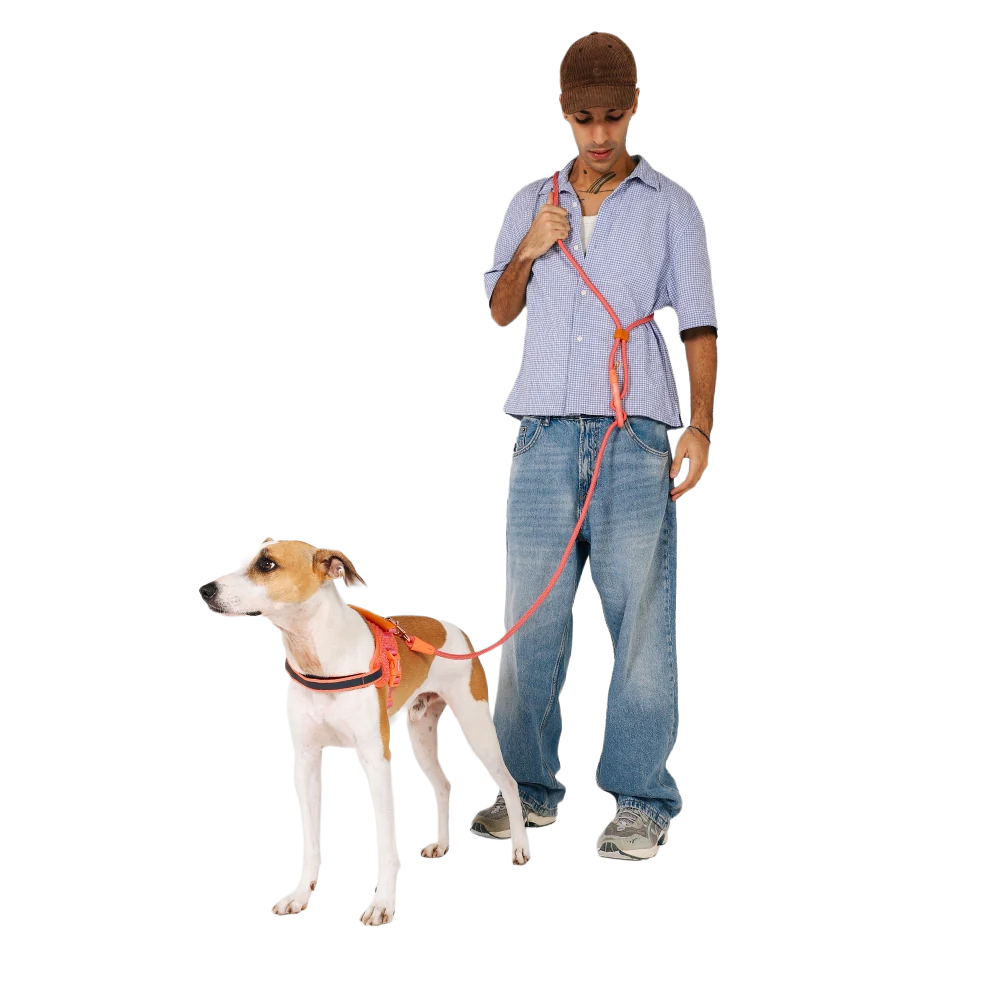 Повідець вільні руки Zee.Dog - Gazelle