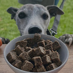Корм для собак сухий повнораціонний Innocent Hound з британського ягня, 1кг