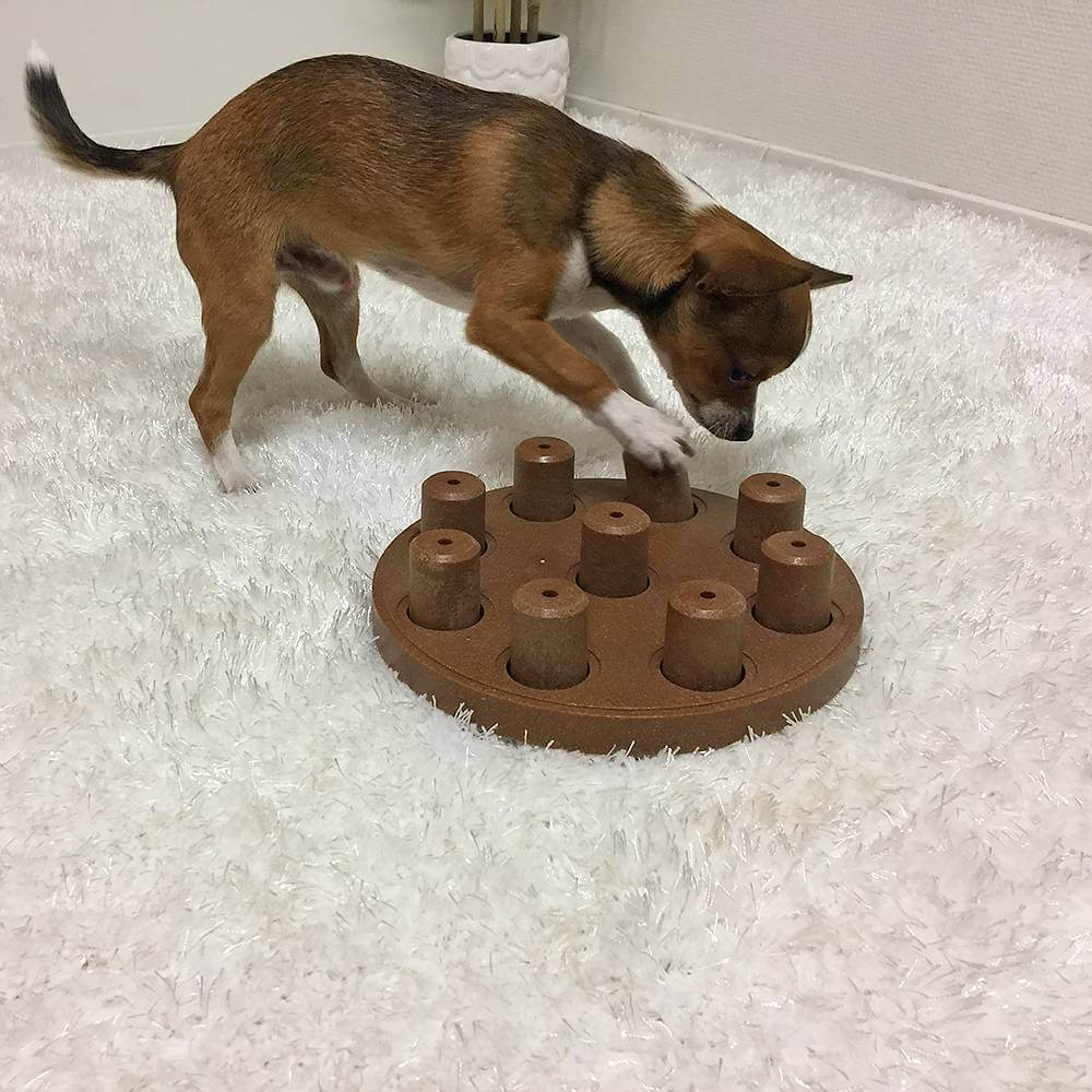 Іграшка інтерактивна Dog Smart Composite