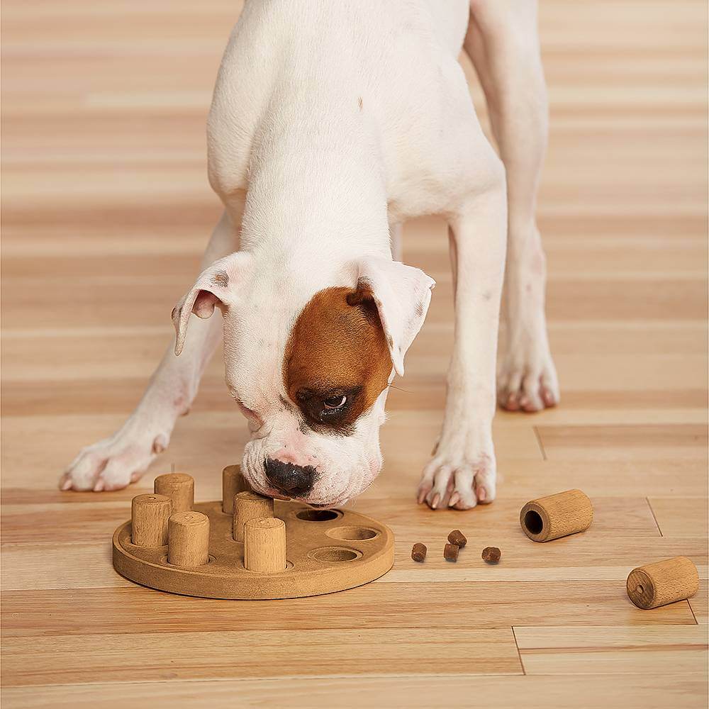 Іграшка інтерактивна Dog Smart Composite
