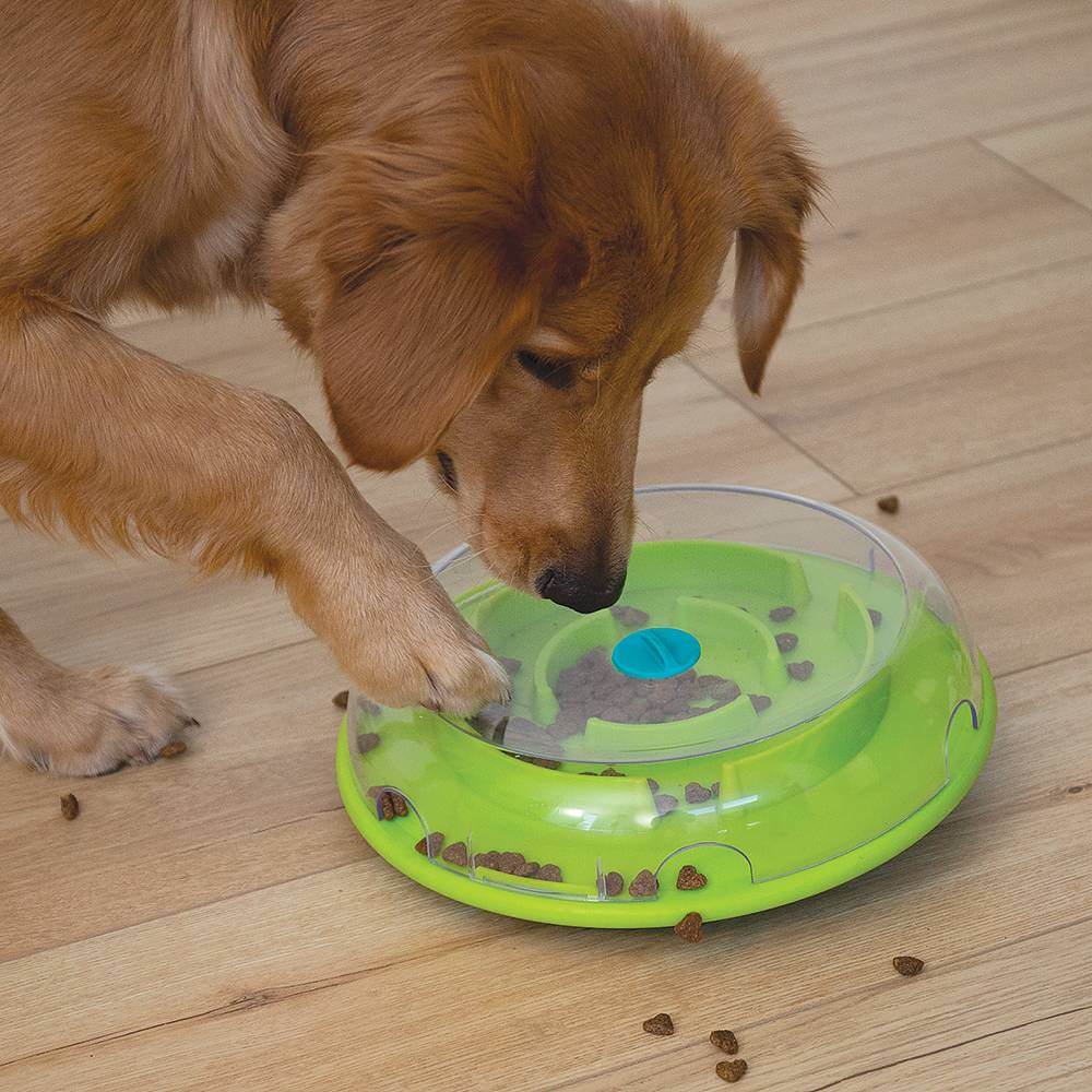 Іграшка інтерактивна Wobble Bowl