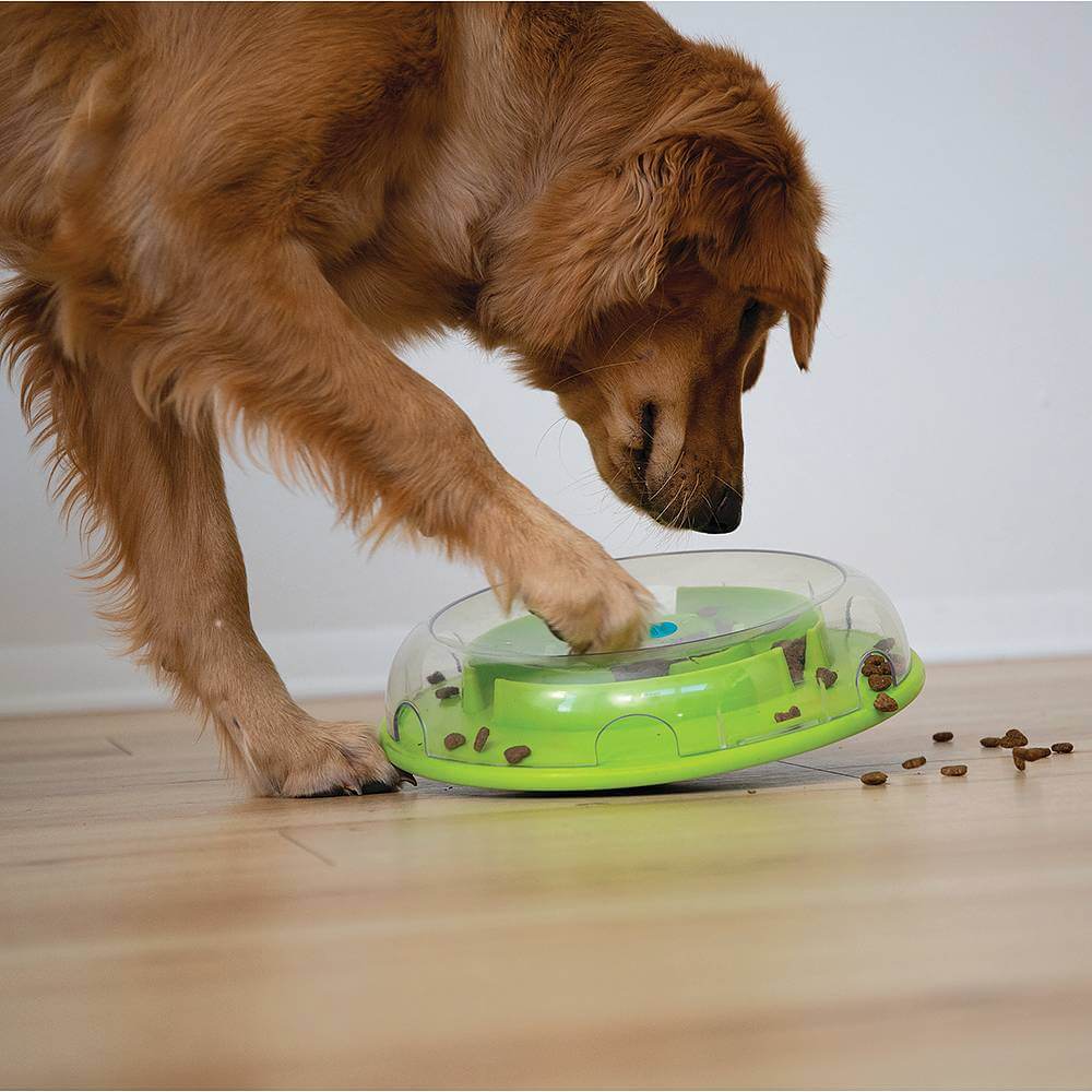 Іграшка інтерактивна Wobble Bowl