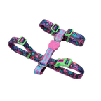 Шлея для собак Zee.Dog - Aerobic H-Harness