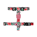 Шлея для собак Zee.Dog - Mahalo H-Harness