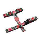 Шлея для собак Zee.Dog - Mahalo H-Harness