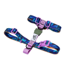 Шлея для собак Zee.Dog - Trekk H-Harness