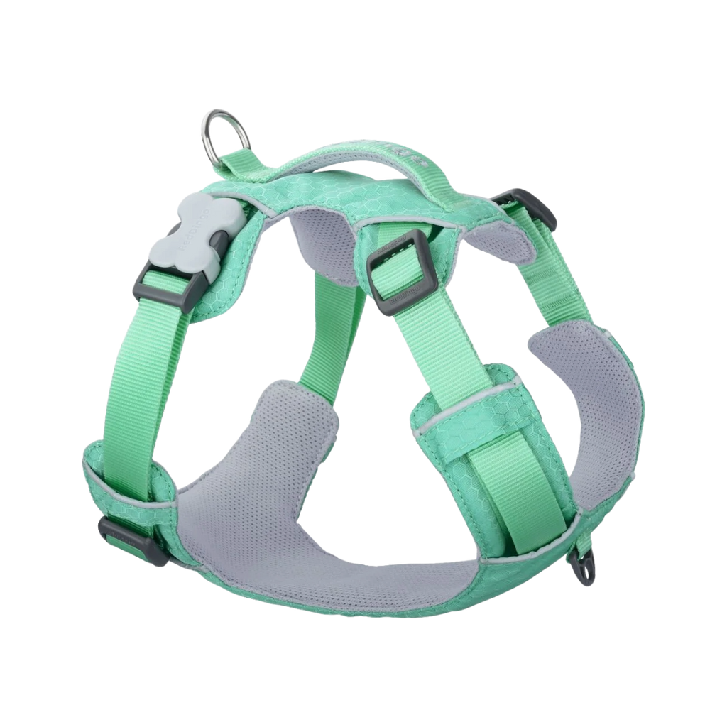Шлея для собак Red Dingo спортивна полегшена - Pastel Green H-Harness