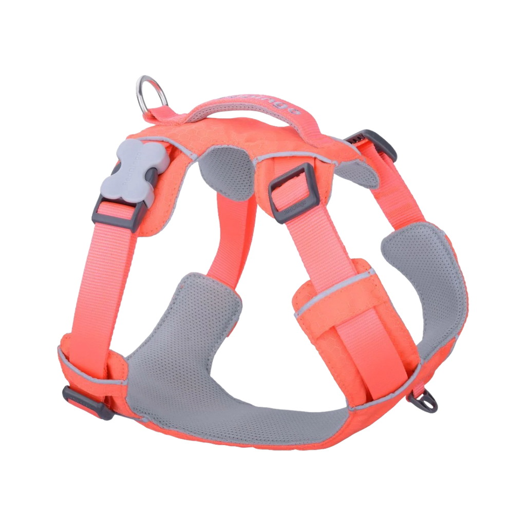 Шлея для собак Red Dingo спортивна полегшена - Hi-Vis Peach H-Harness