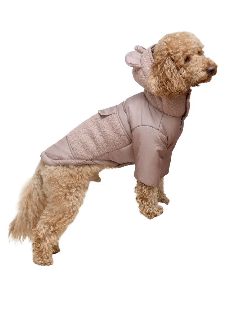 Куртка Teddy бежева