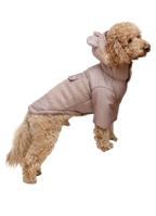 Куртка Teddy бежева