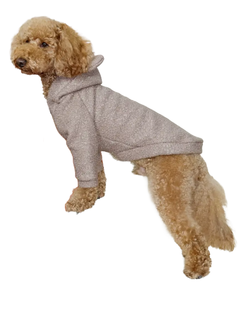 Толстовка баранчик какао