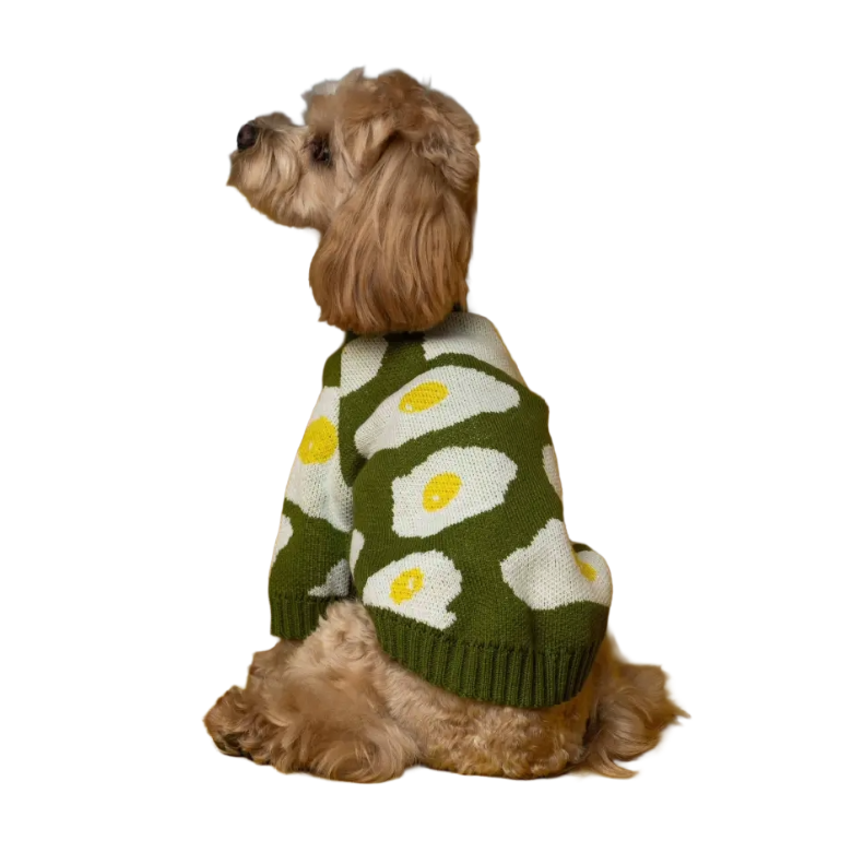 Светр в'язаний Яєчня зелений