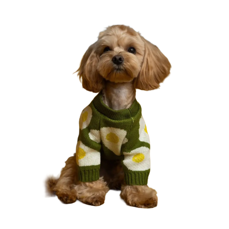 Светр в'язаний Яєчня зелений