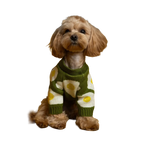 Светр в'язаний Яєчня зелений