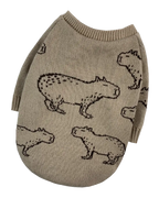 Светр в'язаний Капібари бежеві