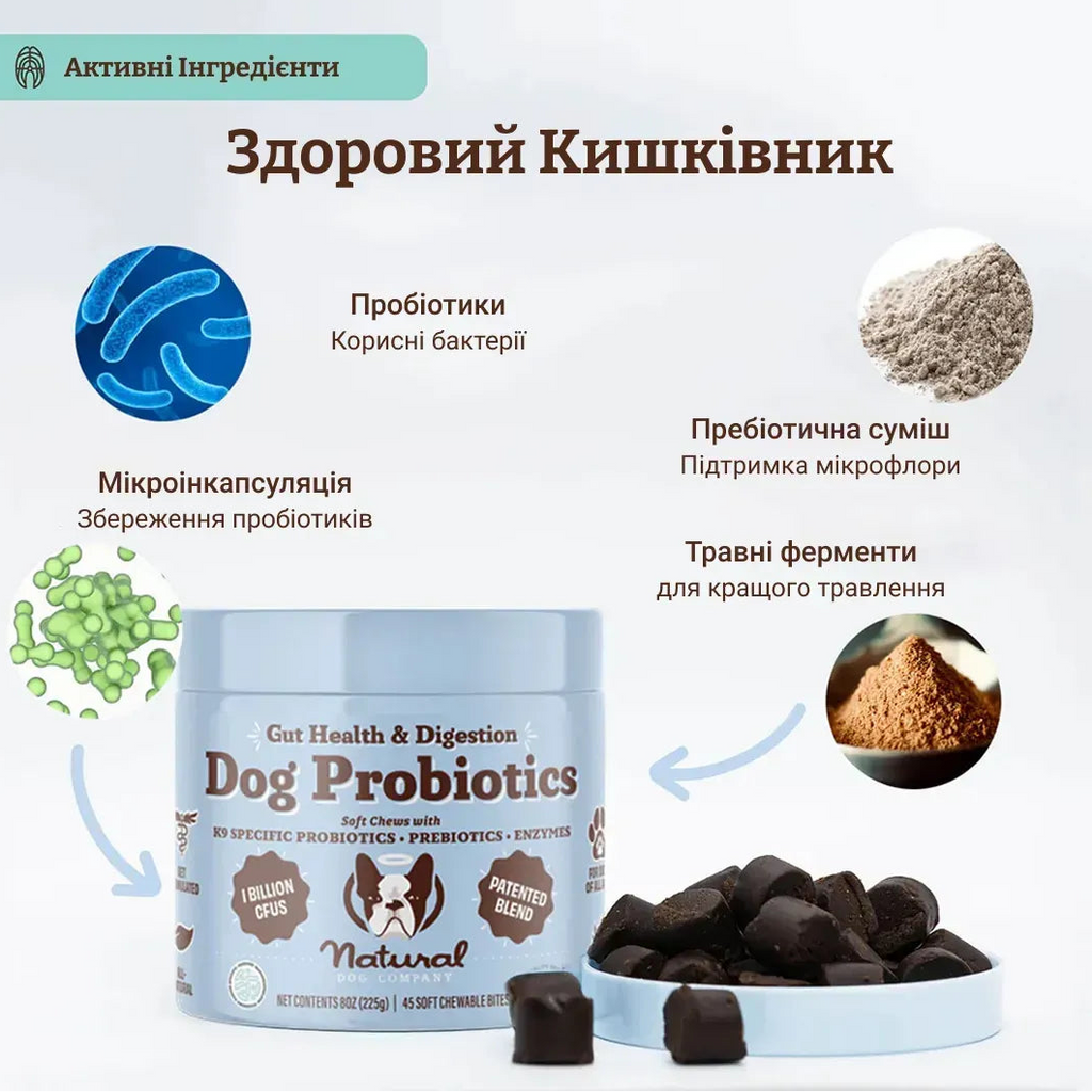 Вітамінний комплекс з пробіотиком