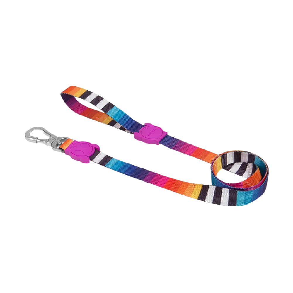 Повідець для собак Zee.Dog Prisma