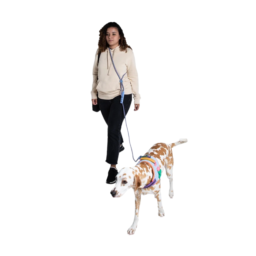 Повідець вільні руки Andromeda