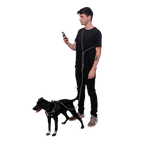 Повідець для собак Zee.Dog - Titanium Grey