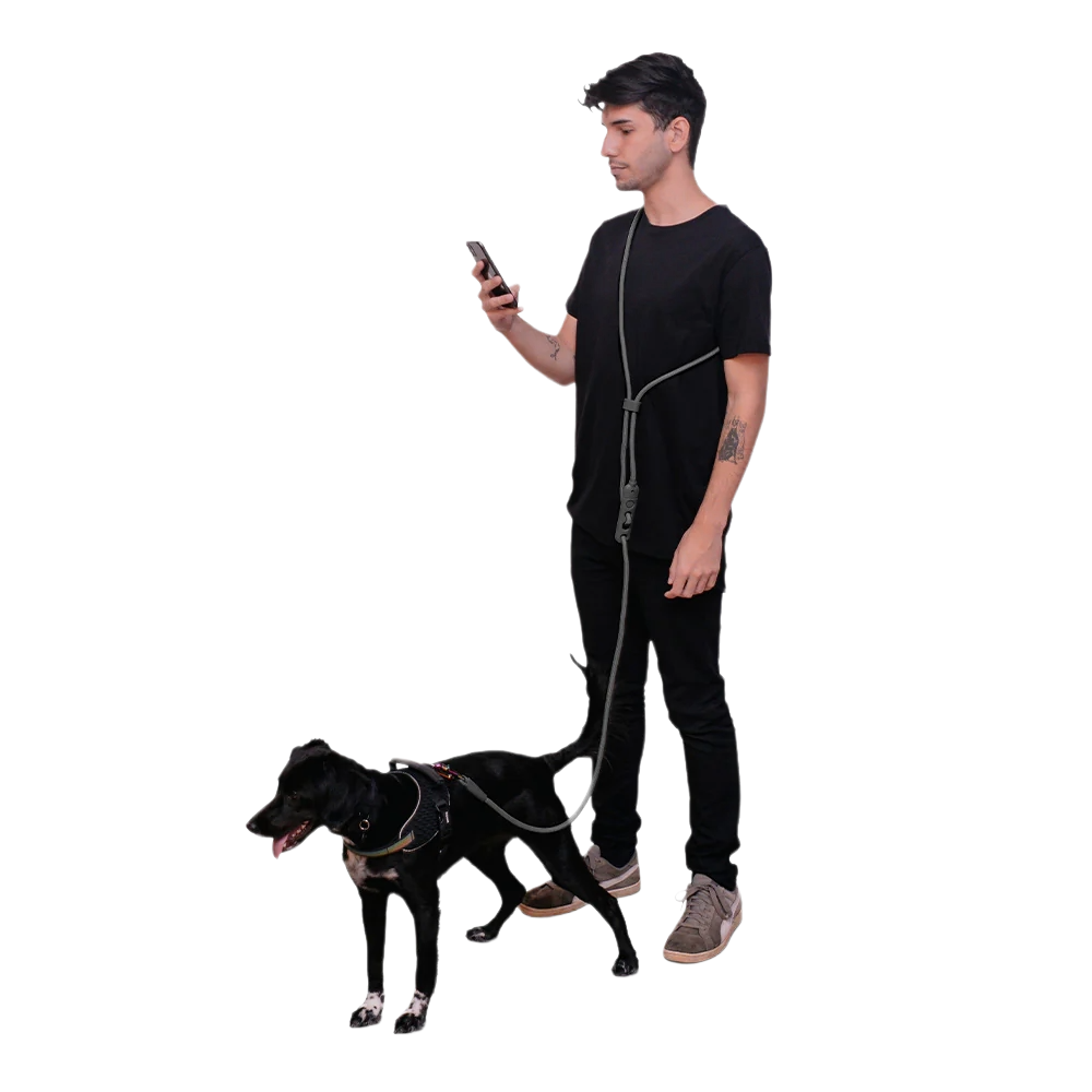 Повідець для собак Zee.Dog - Titanium Grey