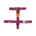 Шлея для собак Zee.Dog - NOX Sidus H-Harness