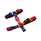 Шлея для собак Zee.Dog - Prisma H-Harness